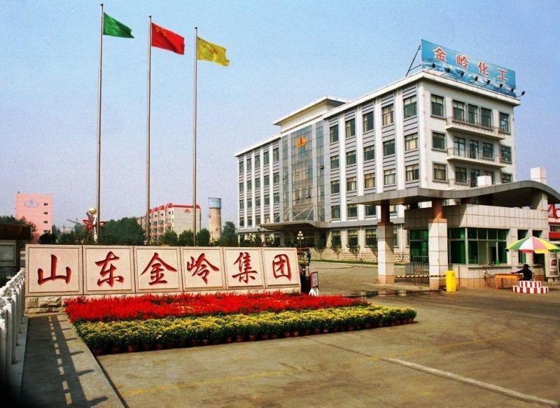 客戶案例：新銳科創(chuàng)智能化二道門(mén)為金嶺化工安全管理護(hù)航